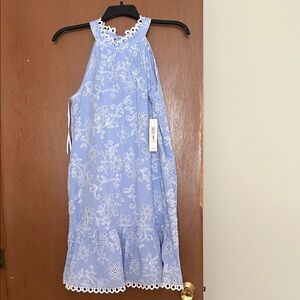 Eliza J Light Blue Dress with White Embroidery
